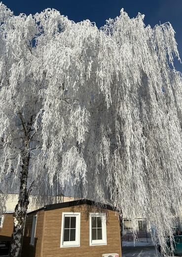 Topení Heatflow fóliemi v mobilním domě – sazba D57d